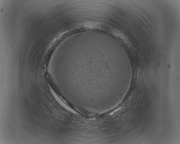 X0000083570776200702091052
