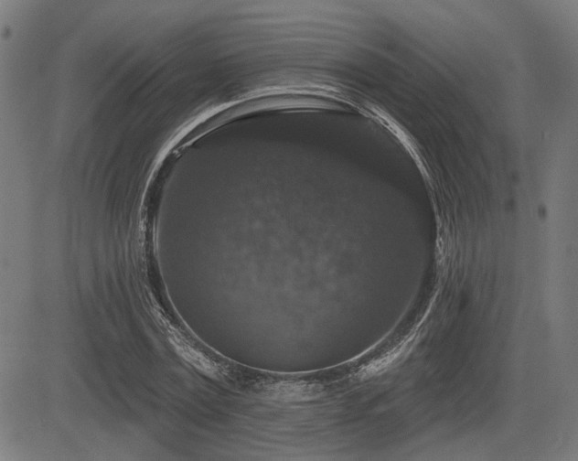 X0000083570779200702091052