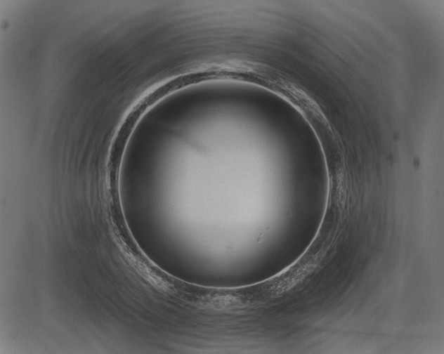 X0000083570784200702091052