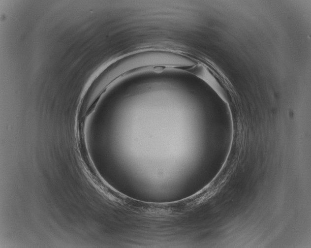 X0000083570788200702091052