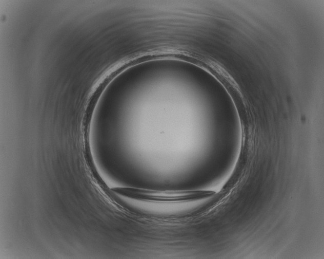X0000083570789200702091052
