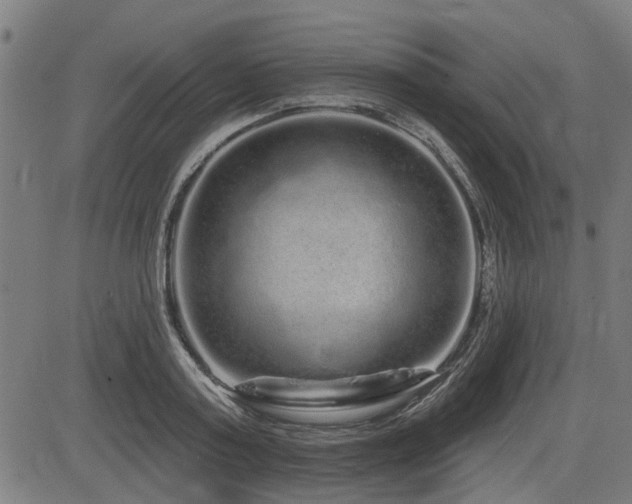 X0000083570795200702091052