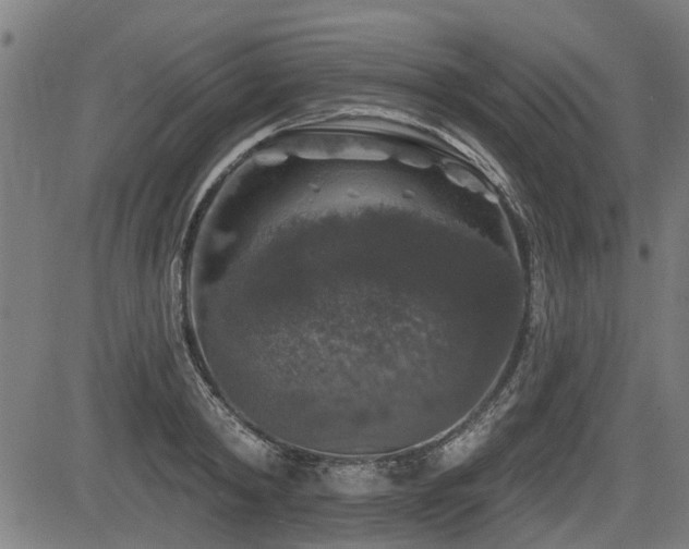X0000083570798200702091052