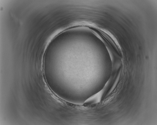X0000083570815200702091052