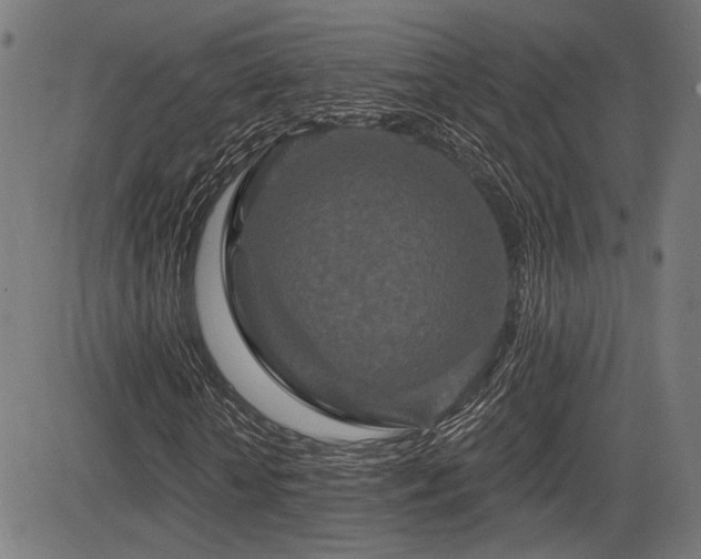 X0000083570818200702091051