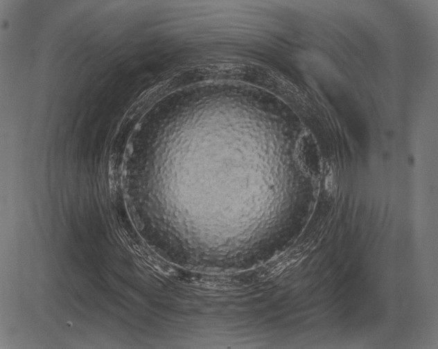 X0000083570819200702091051
