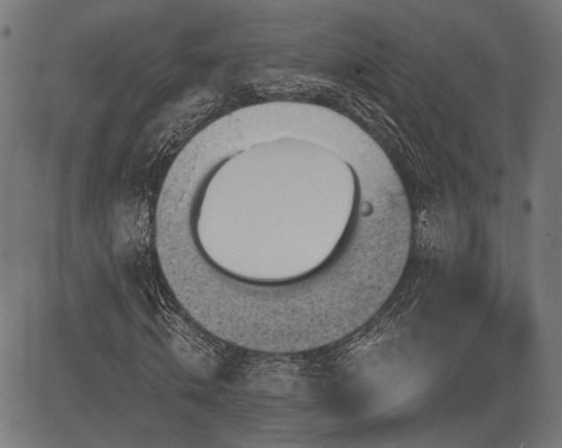 X0000083570820200702091051