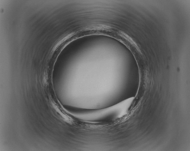 X0000083570826200702091051