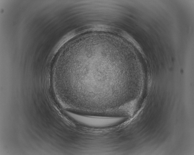 X0000083570829200702091051