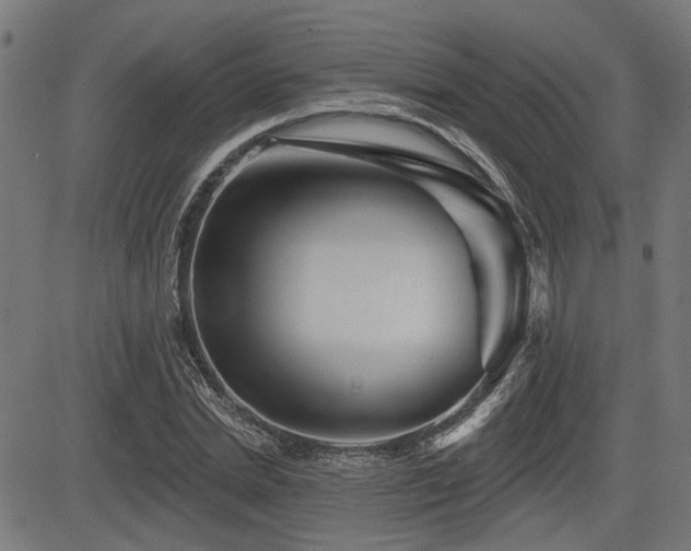 X0000083570830200702091051