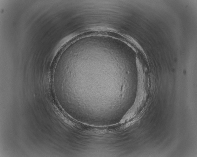 X0000083570831200702091051