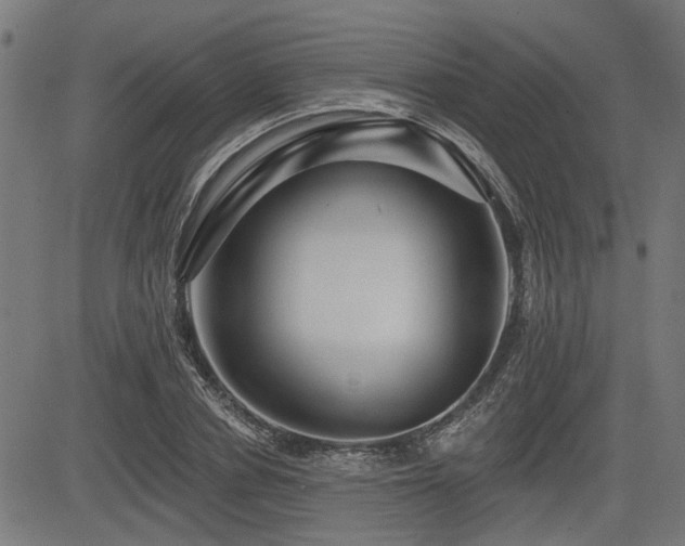 X0000083570834200702091051