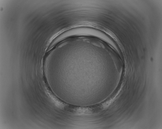 X0000083570842200702091051
