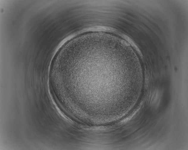 X0000083570845200702091051