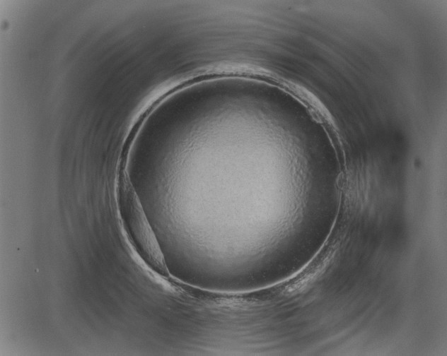 X0000083570847200702091051