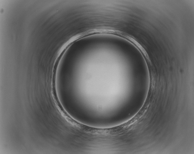 X0000083570861200702091052