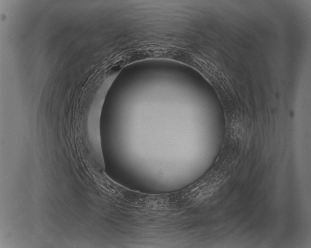 X0000083570865200702091051
