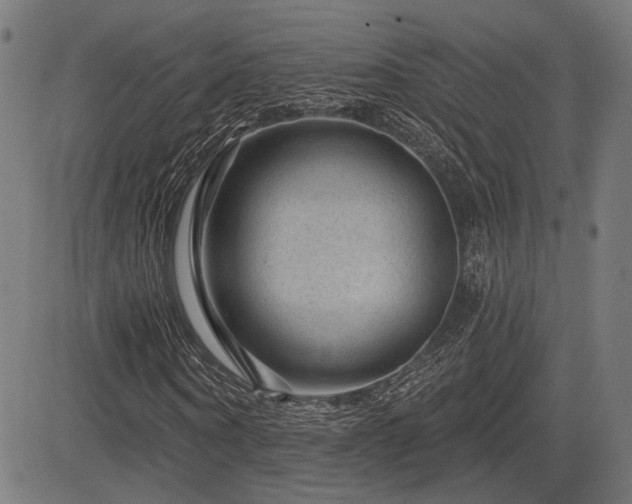 X0000083570866200702091051