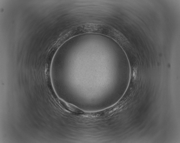 X0000083570867200702091051
