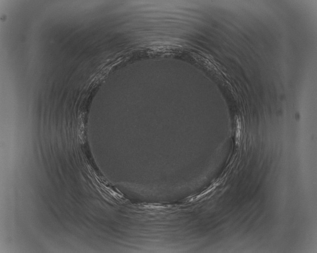 X0000083570868200702091051