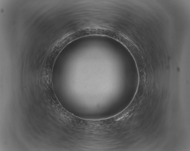 X0000083570870200702091051