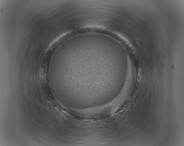 X0000083570872200702091051