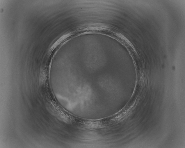 X0000083570874200702091051