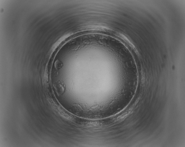 X0000083570883200702091051