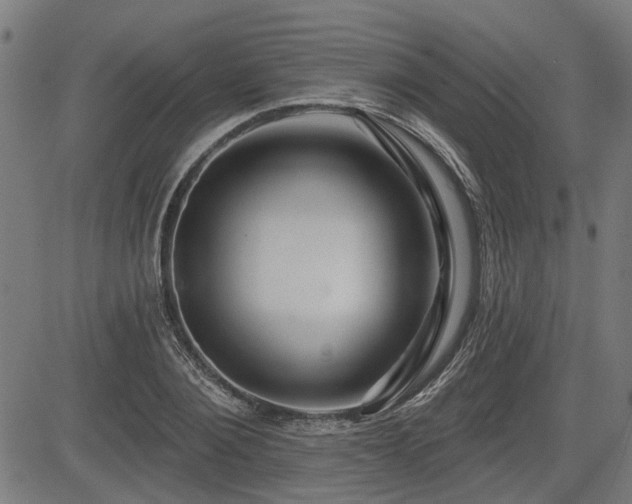 X0000083570884200702091051
