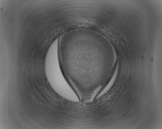 X0000083570916200702091049