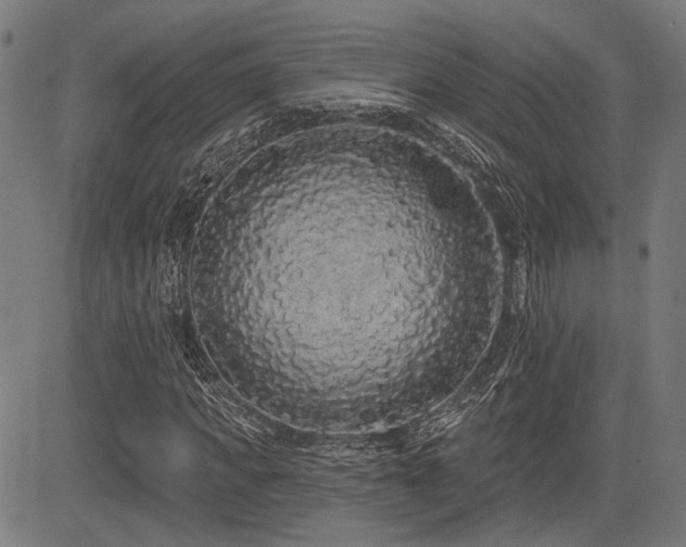 X0000083570917200702091049