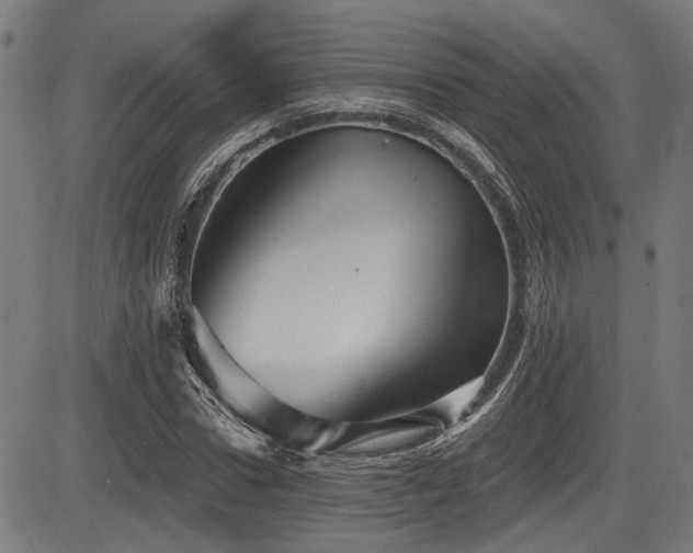 X0000083570922200702091050