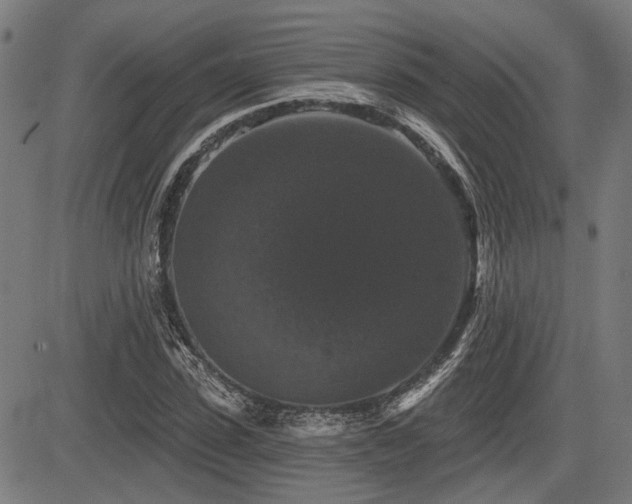 X0000083570923200702091050