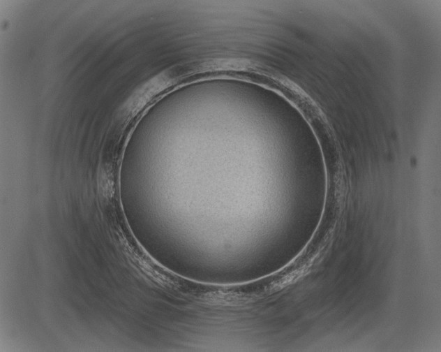 X0000083570929200702091050