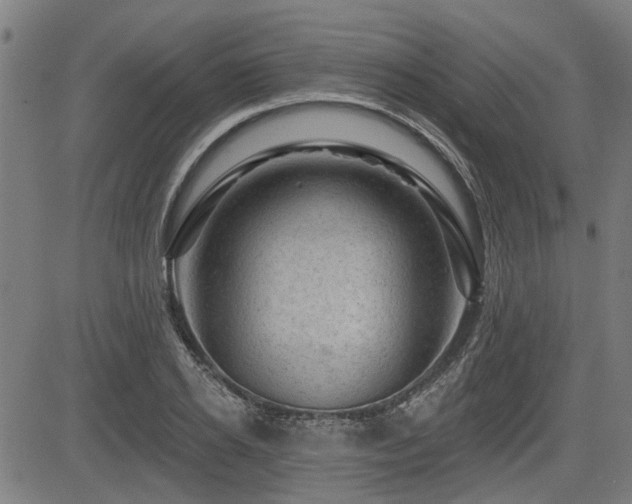 X0000083570934200702091050