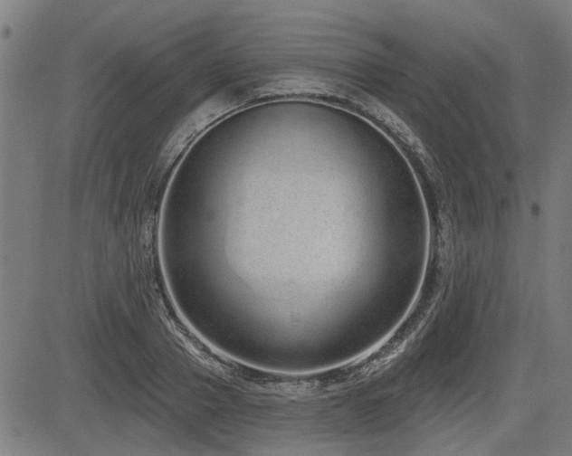 X0000083570937200702091050