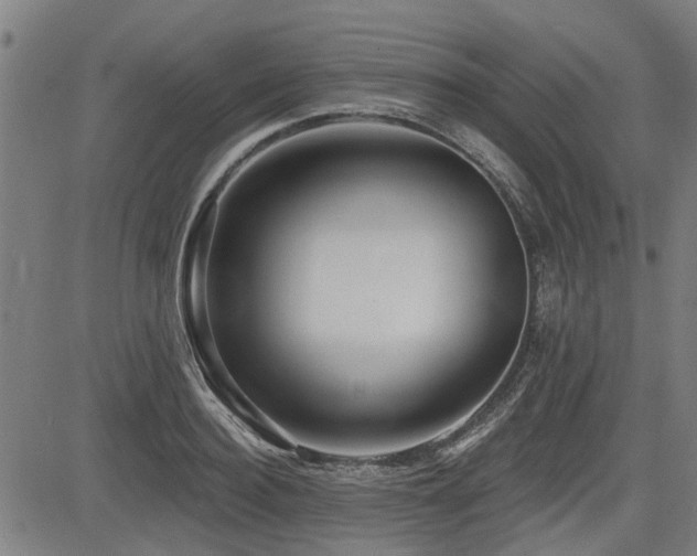 X0000083570940200702091050