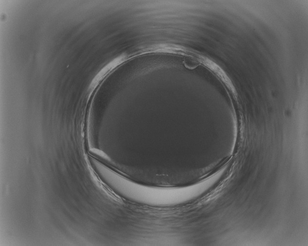 X0000083570954200702091050