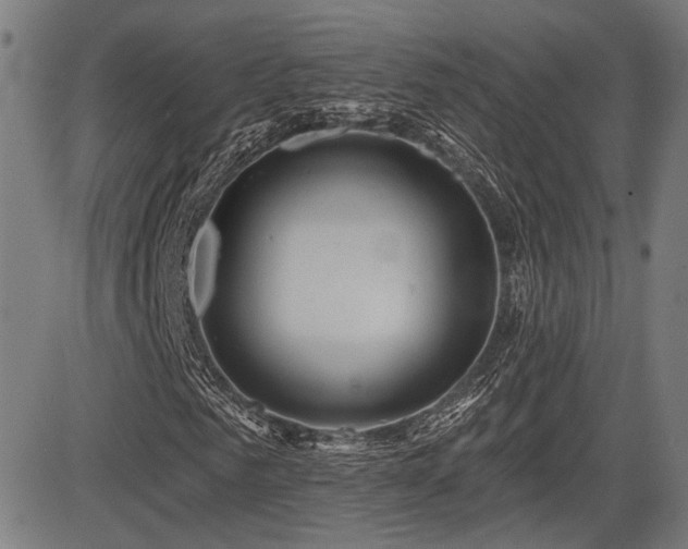 X0000083570961200702091049