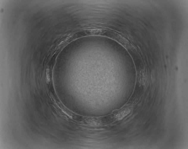 X0000083570962200702091049