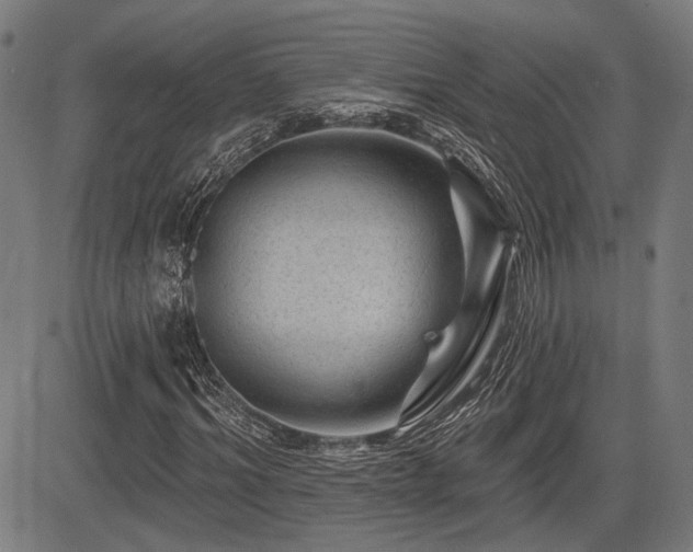 X0000083570964200702091049