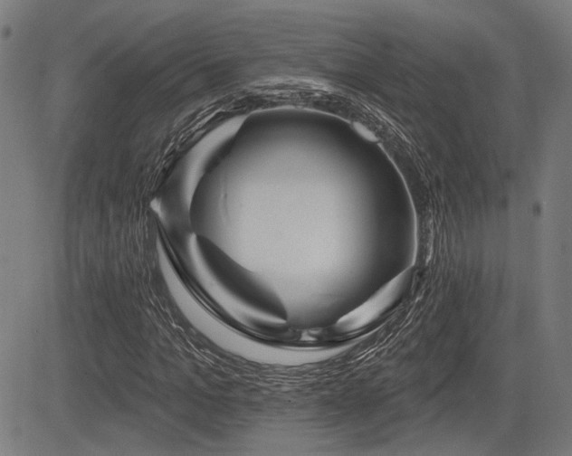 X0000083570965200702091049