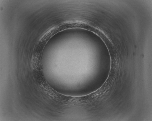 X0000083570967200702091049