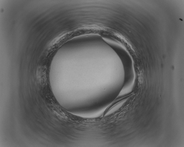 X0000083570968200702091049
