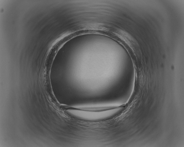 X0000083570971200702091049