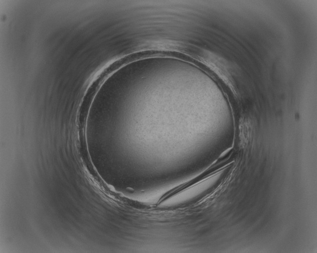 X0000083570972200702091049