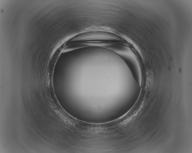 X0000083570973200702091049
