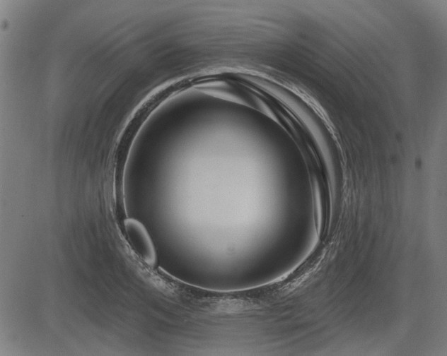 X0000083570984200702091049