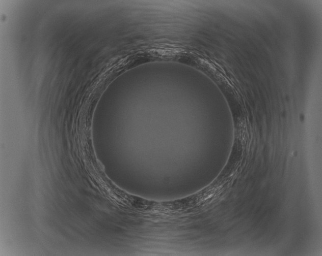 X0000083571009200702091048