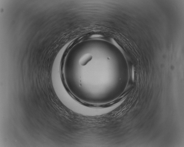 X0000083571010200702091048